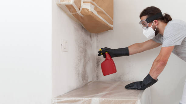 Professional Bathroom Mold Removal technician working in Boonsboro, MD
